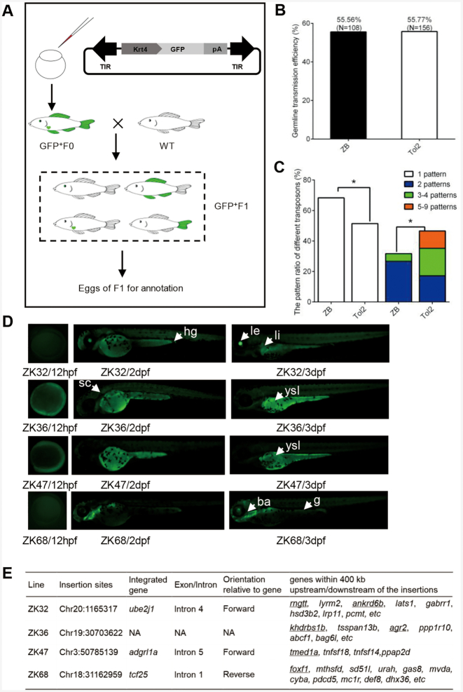 Figure 4.