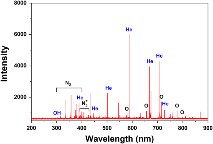 Figure 2