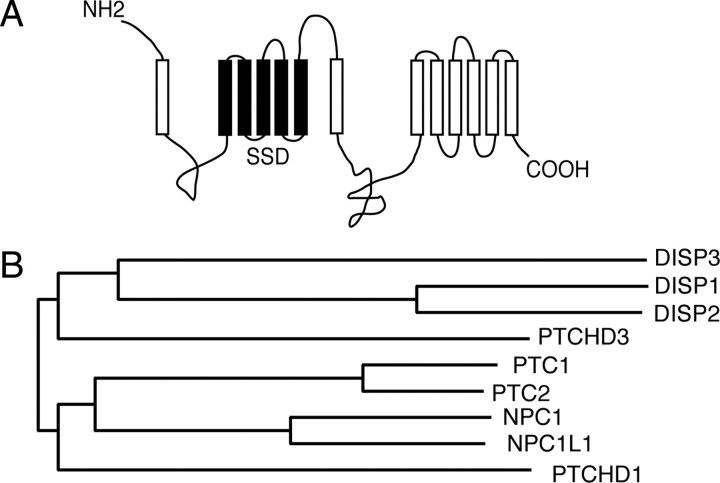 Fig. 1.