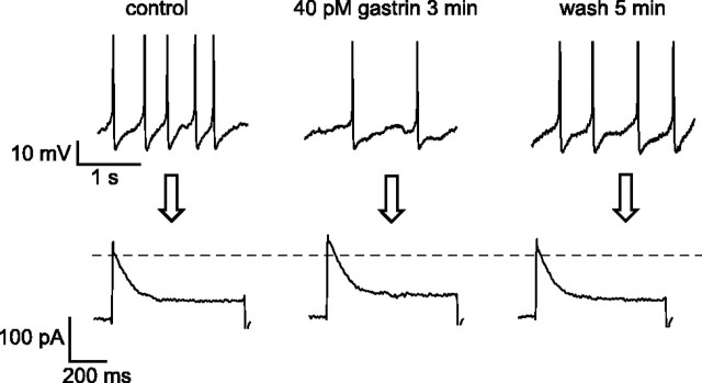 Fig. 9.