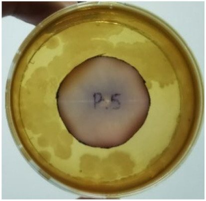 graphic file with name materials-15-03433-i007.jpg