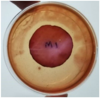 graphic file with name materials-15-03433-i002.jpg