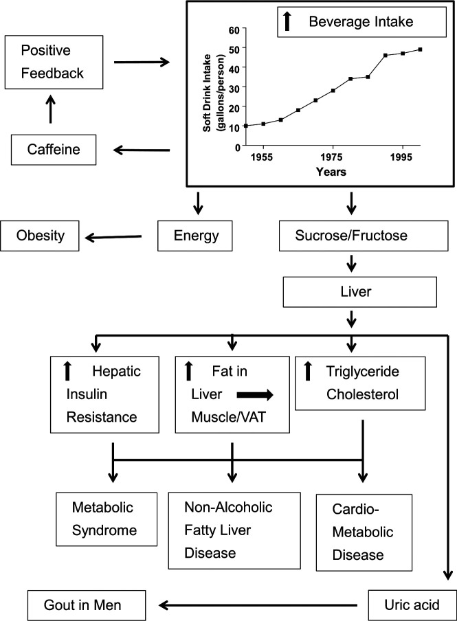 Figure 2. Model showing some potential consequences of increasing fructose and energy intake from sugar or HFCS in beverages. VAT, visceral adipose tissue.