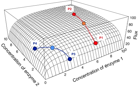 Fig. 1