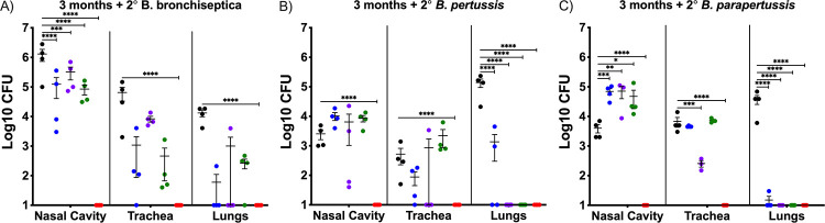 FIG 1