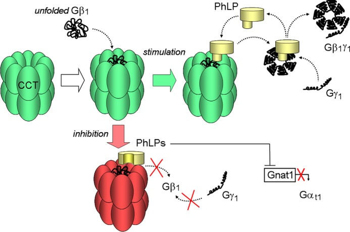 FIGURE 7.