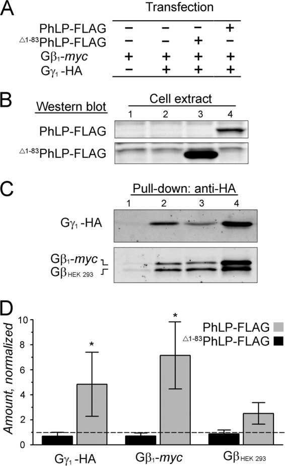 FIGURE 5.