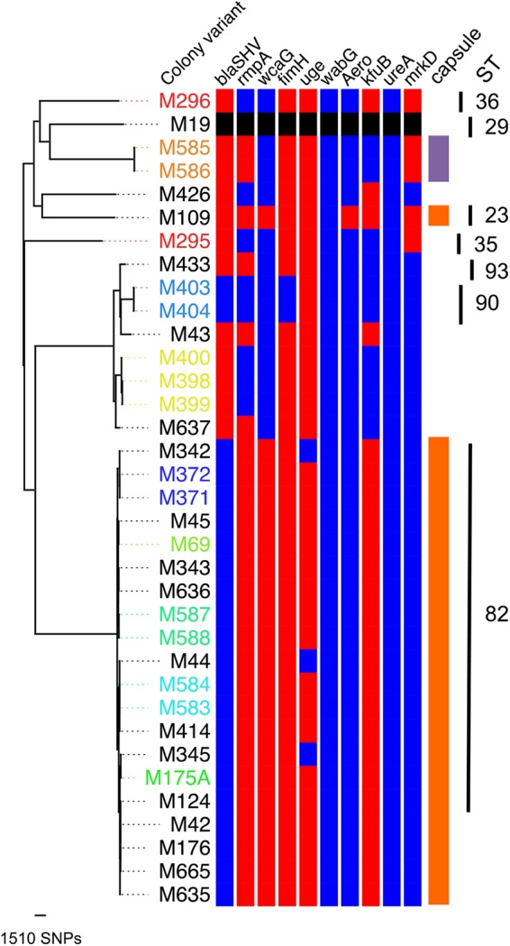 FIG 1