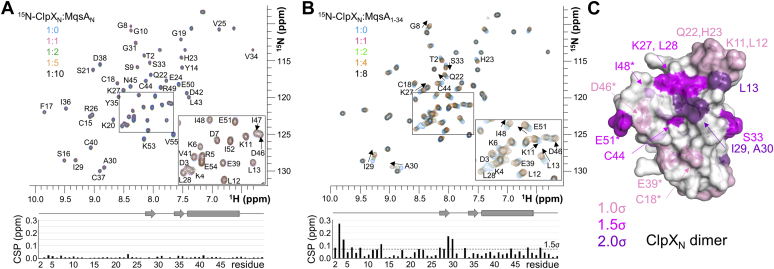 Figure 3