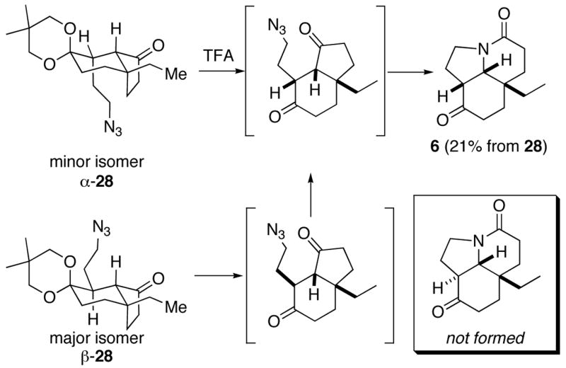 Scheme 8