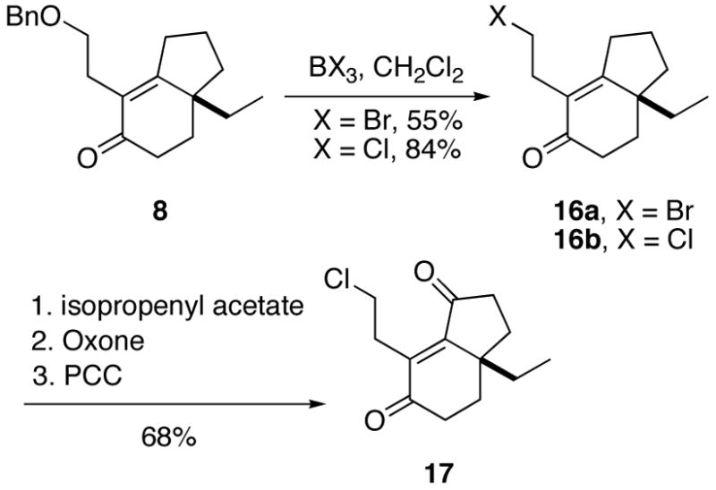 Scheme 5