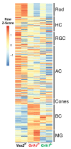 Figure 1—figure supplement 2.