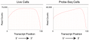 Figure 1—figure supplement 4.