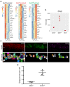 Figure 1—figure supplement 3.
