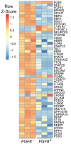 Figure 4—figure supplement 3.