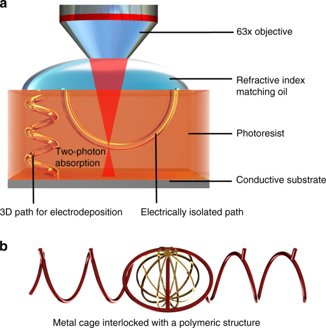 Fig. 1