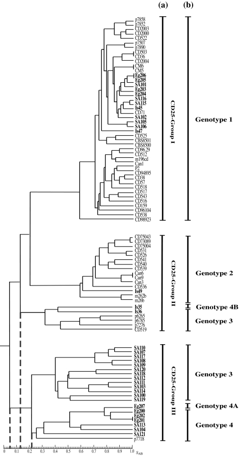 FIG.2.