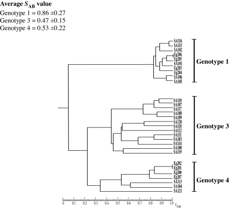 FIG. 1.