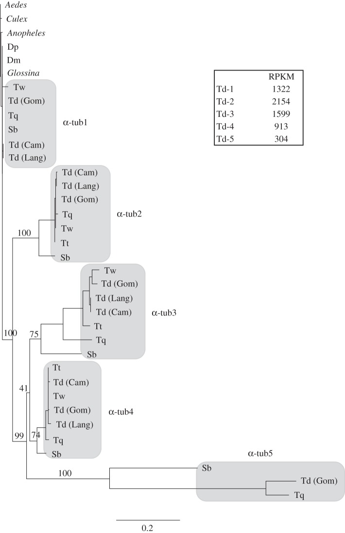 Figure 4.