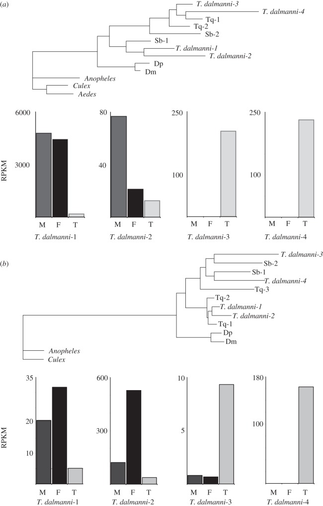 Figure 7.