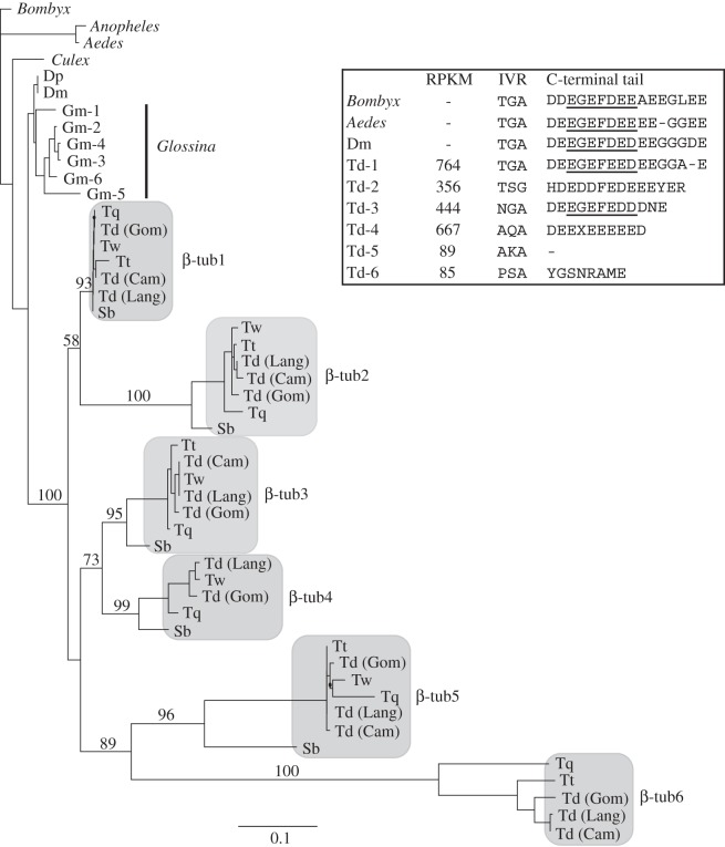 Figure 5.