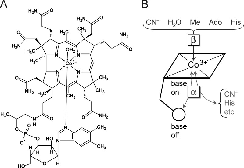 FIGURE 1.