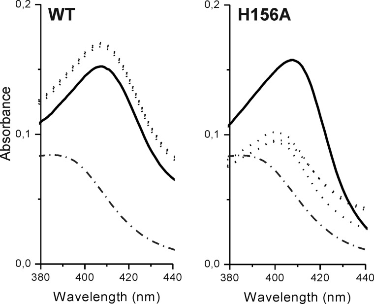 FIGURE 10.