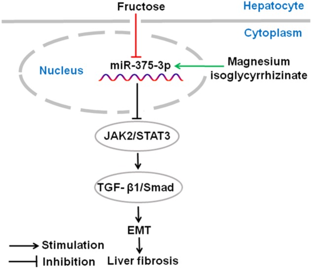 Fig. 10