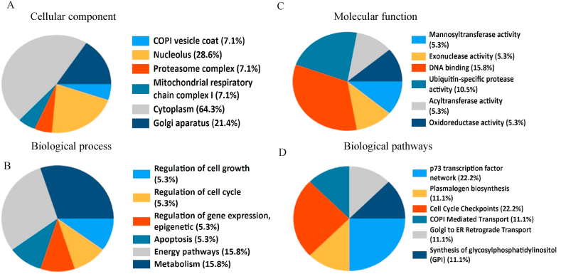 Figure 7