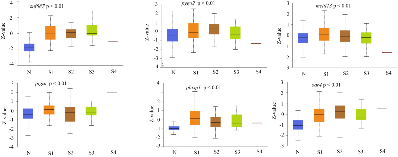 Figure 4