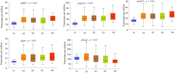 Figure 3