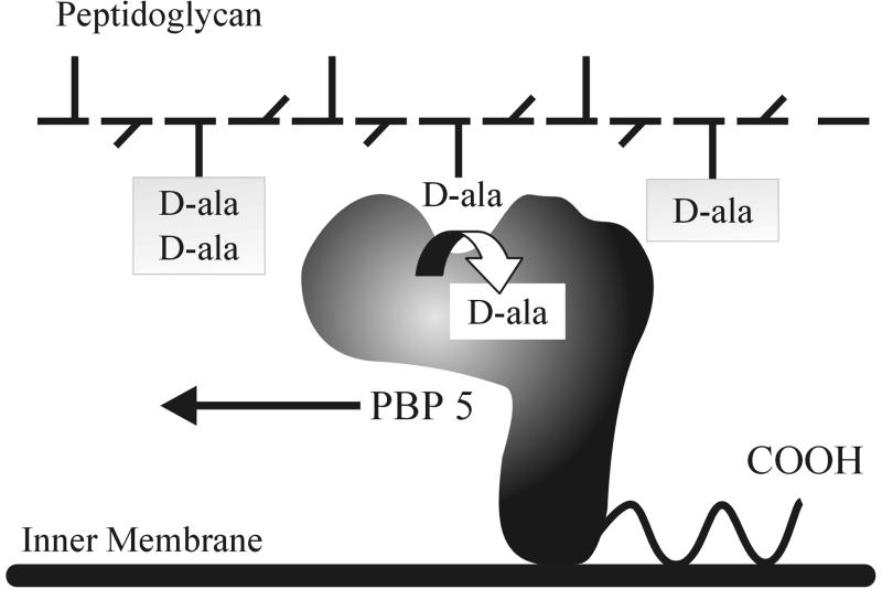 FIG. 6