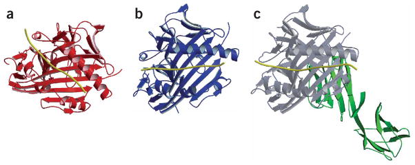 Figure 7