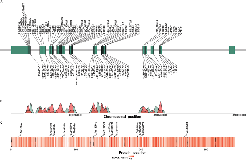 Figure 5.