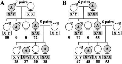 Fig 2.