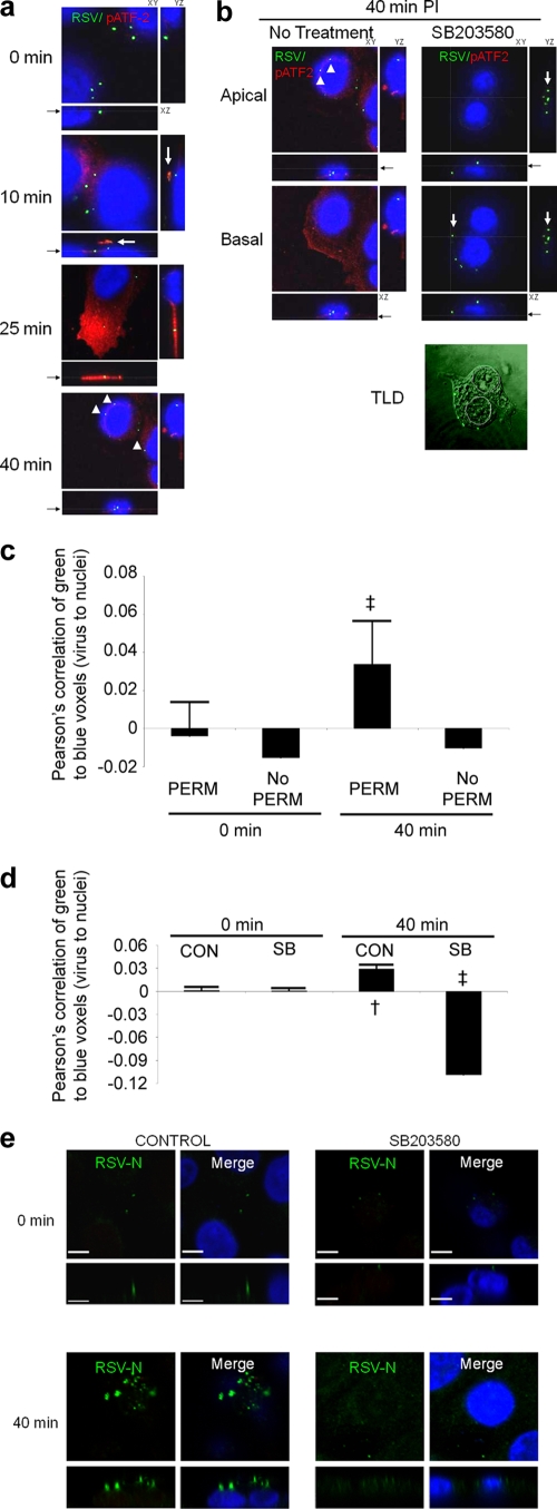 FIG. 4.