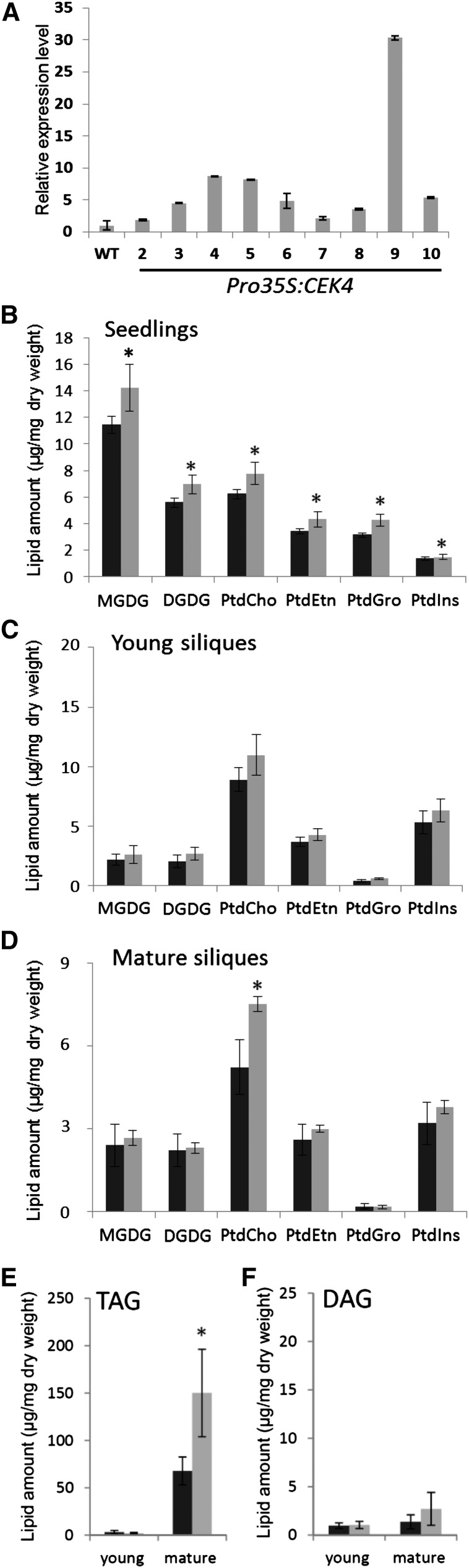 Figure 9.