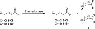 Scheme 3