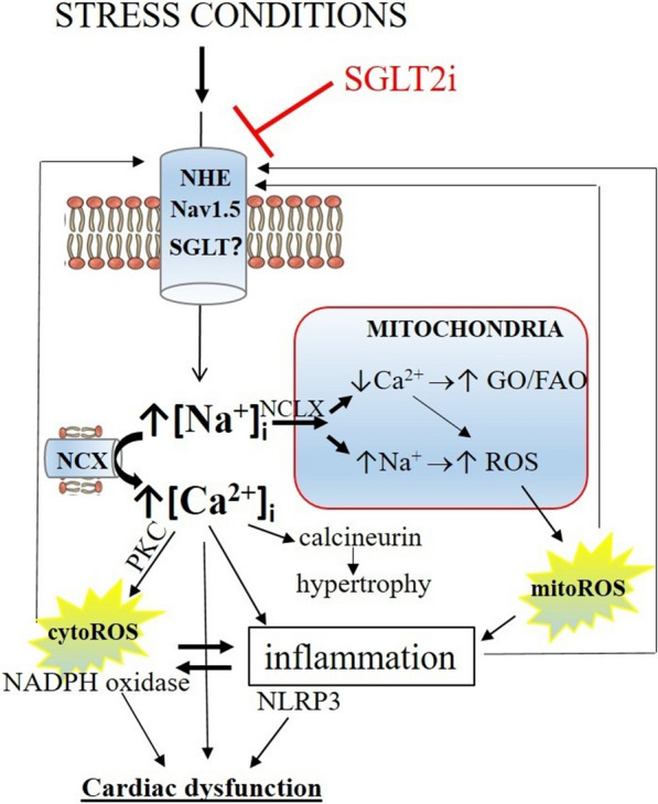 Fig. 2