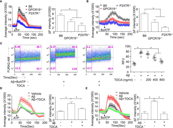 Figure 2