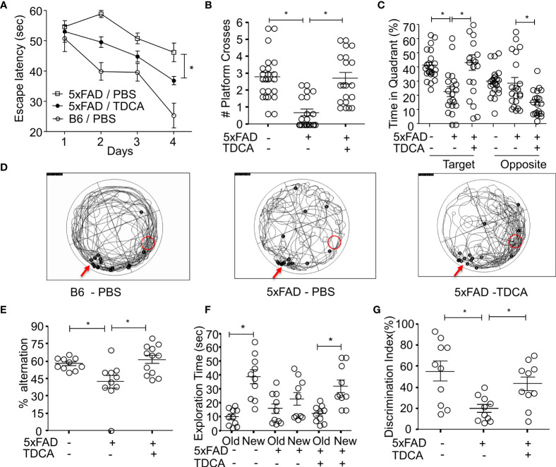 Figure 6