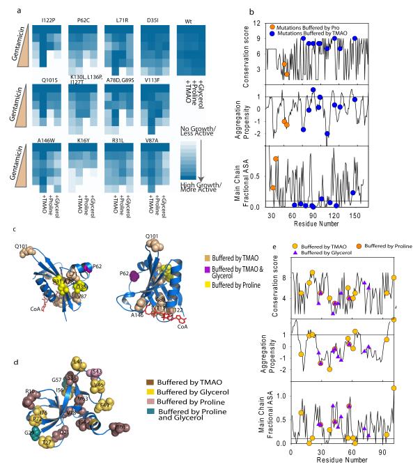 Figure4