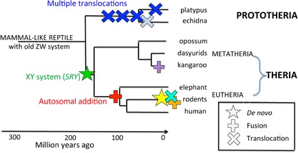 Figure 5