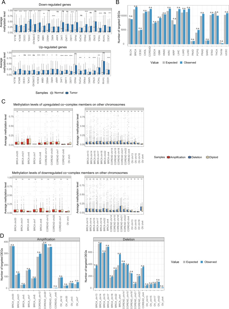 Figure 3—figure supplement 2.