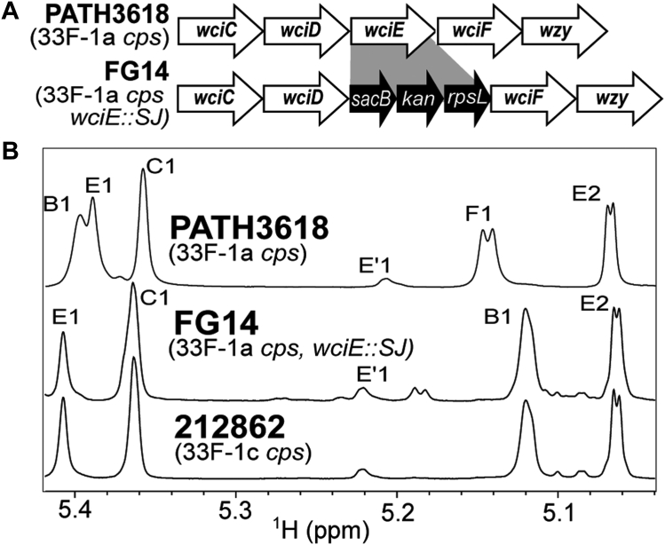 Figure 3