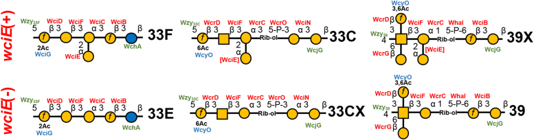 Figure 5