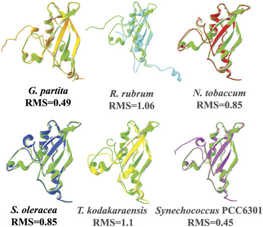 Figure 3.