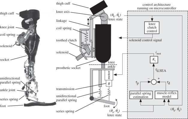 Figure 3.