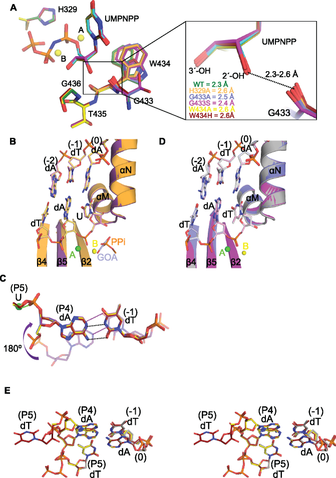 Figure 4.