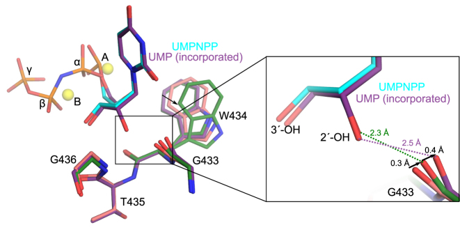 Figure 5.